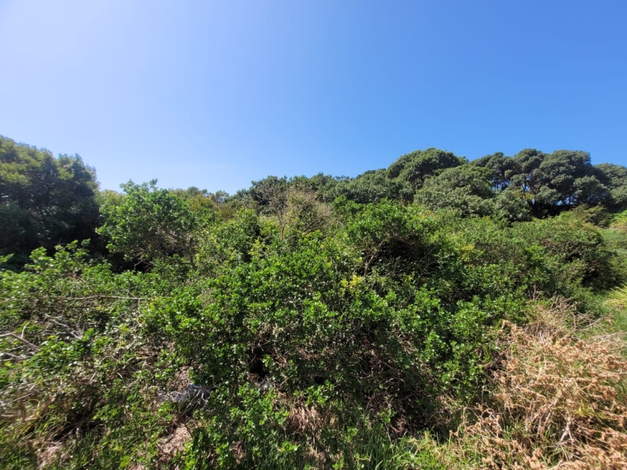 0 Bedroom Property for Sale in Paradise Beach Eastern Cape